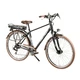 Trekkingowy rower elektryczny Devron 28123 - Czarny