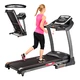 Treadmill  inSPORTline Gilavar