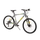 MTB bike DHS Chupper 2666 26" - model 2014 - Grey