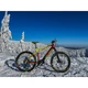 Mountain E-Bike Crussis e-Atland 8.6-S – 2021