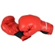 InSPORTline Boxing Gloves