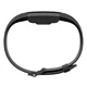 Fitness Tracker Fitbit Charge 2 Black Gunmetal