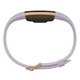 Fitness karkötő Fitbit Charge 2 Lavender Rose Gold