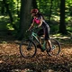 Women’s Mountain Bike Devron Riddle Lady 1.7 27.5” – 2019