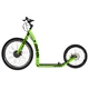 E-Scooter MA-MI DRIFT with quick charger - Green