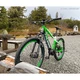 Mountain E-Bike Crussis e-Atland 8.7-L – 2022