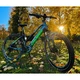 Damen E-Mountainbike Crussis e-Cross Lady 9.7-S - model 2022