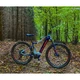 Mountain E-Bike Crussis e-Largo 10.6 – 2021