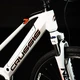 Damen Cross Country E-Bike Crussis e-Cross Low 7.8 - Modell 2023