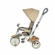 Three-Wheel Stroller/Tricycle with Tow Bar Coccolle Evo