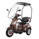 Three-Wheel Electric Scooter inSPORTline Zorica w/ Roof - Brown