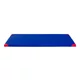 Gymnastická žinenka inSPORTline Roshar T90 200x120x5 cm - modrá