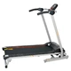 Treadmill Wayflex MT250
