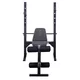 Multifunctional Workout Bench inSPORTline ON-X B20